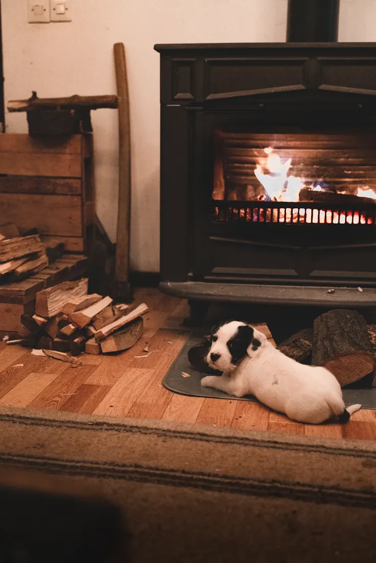 A puppy lying on a mat in front of a warm wood-burning stove